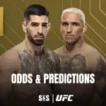 UFC 317 fight poster
