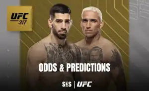 UFC 317 fight poster