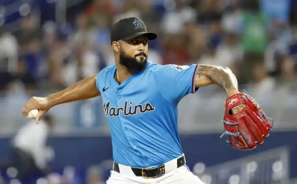 The image features a baseball player named Marlina throwing a baseball. The scene is set outdoors in a baseball park, showcasing the athletic nature of the sport.