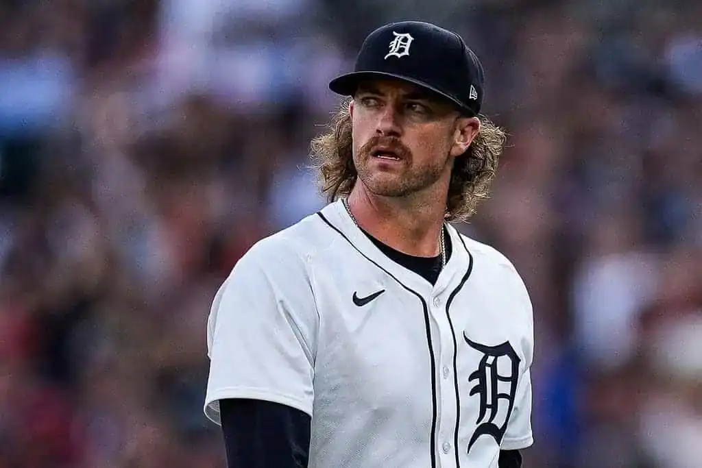 Detroit Tigers Look
