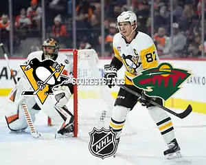 penguins v wild