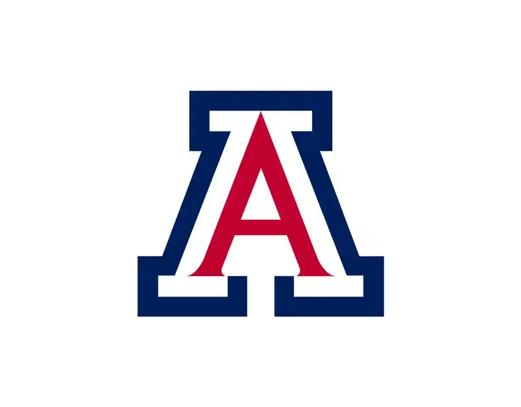 Arizona Wildcats 2