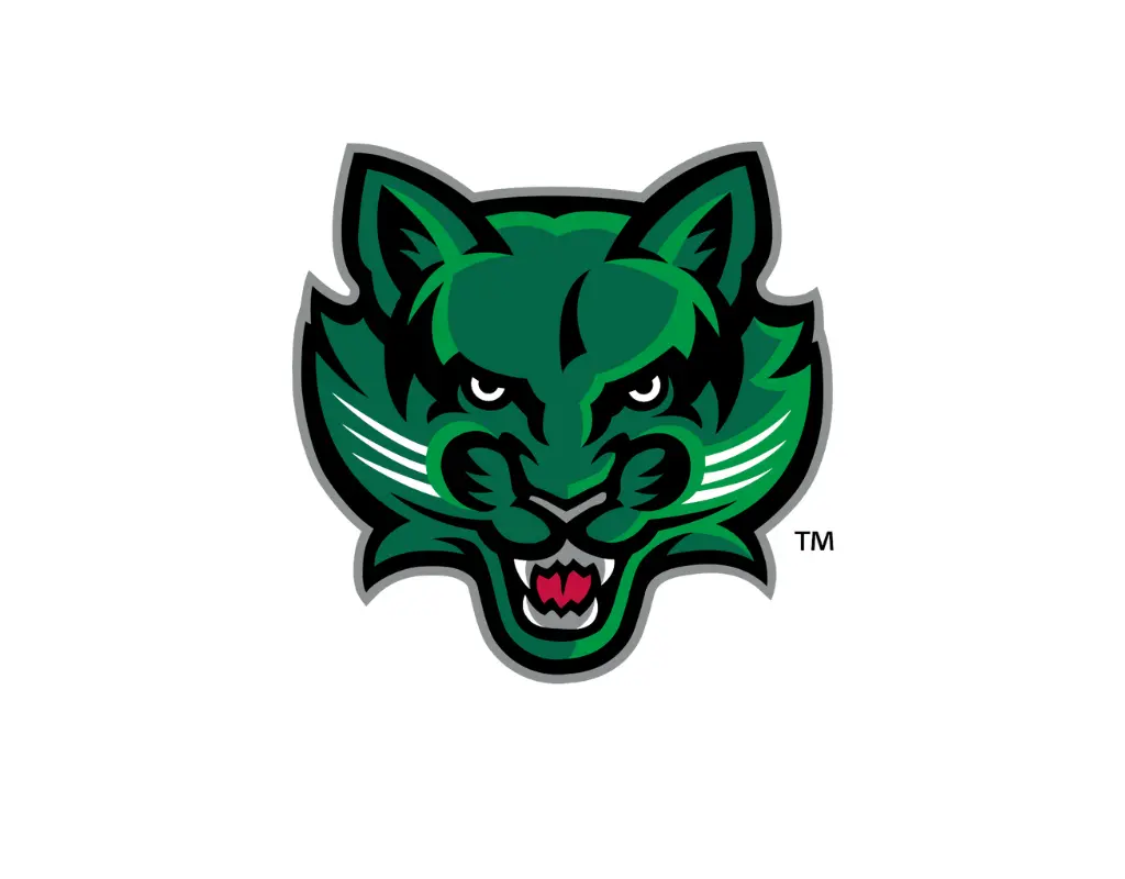Binghamton Bearcats 1
