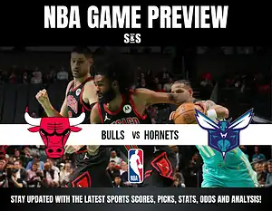 hornets bulls