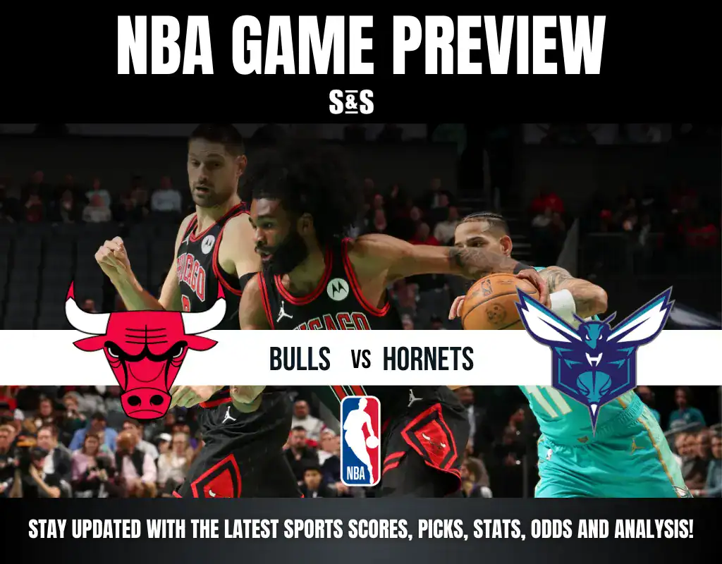 hornets bulls
