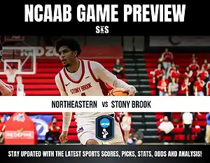 northeastern stony brook