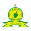 MAMELODI SUNDOWNS Logo