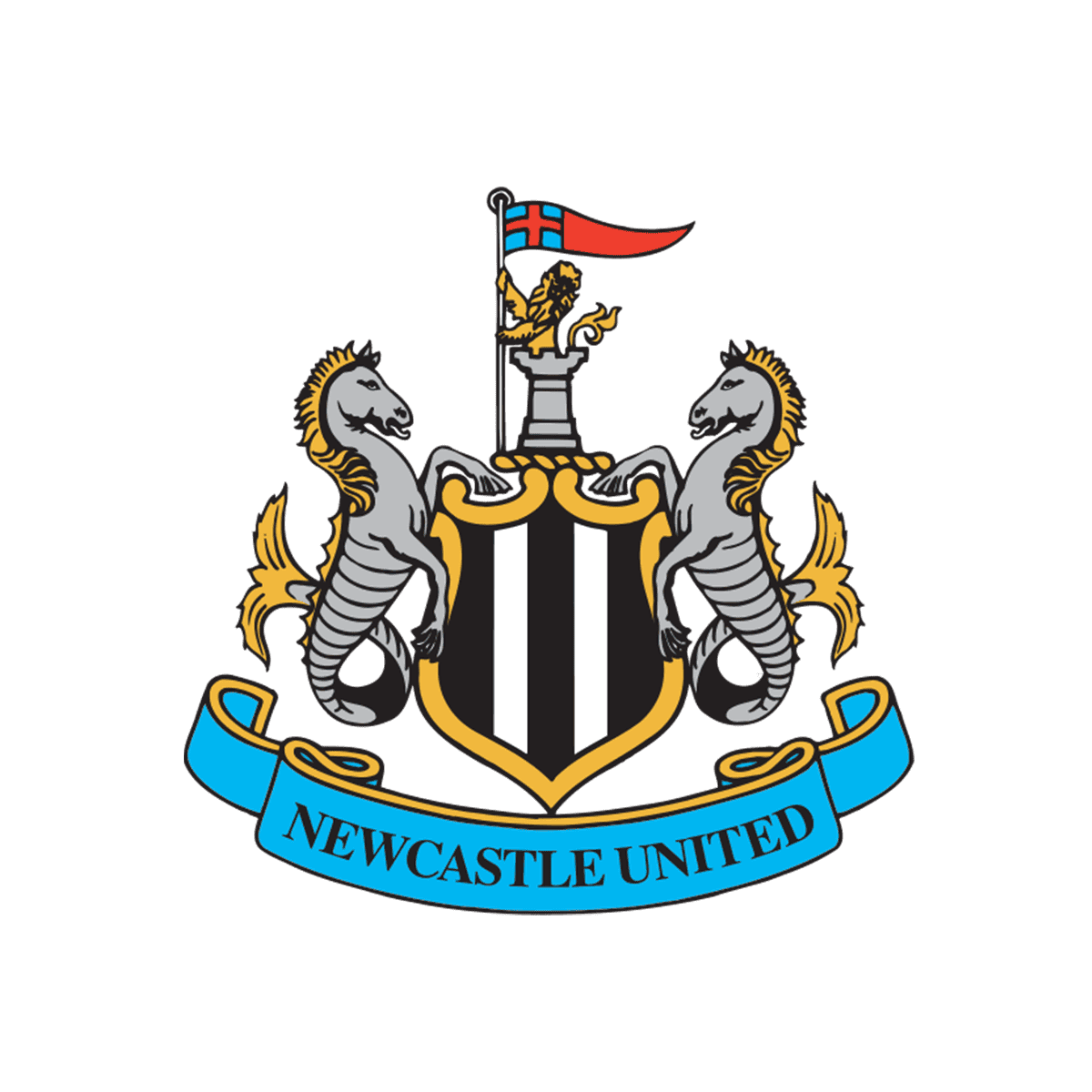 NEWCASTLE UNITED - TEAM TOTAL Logo