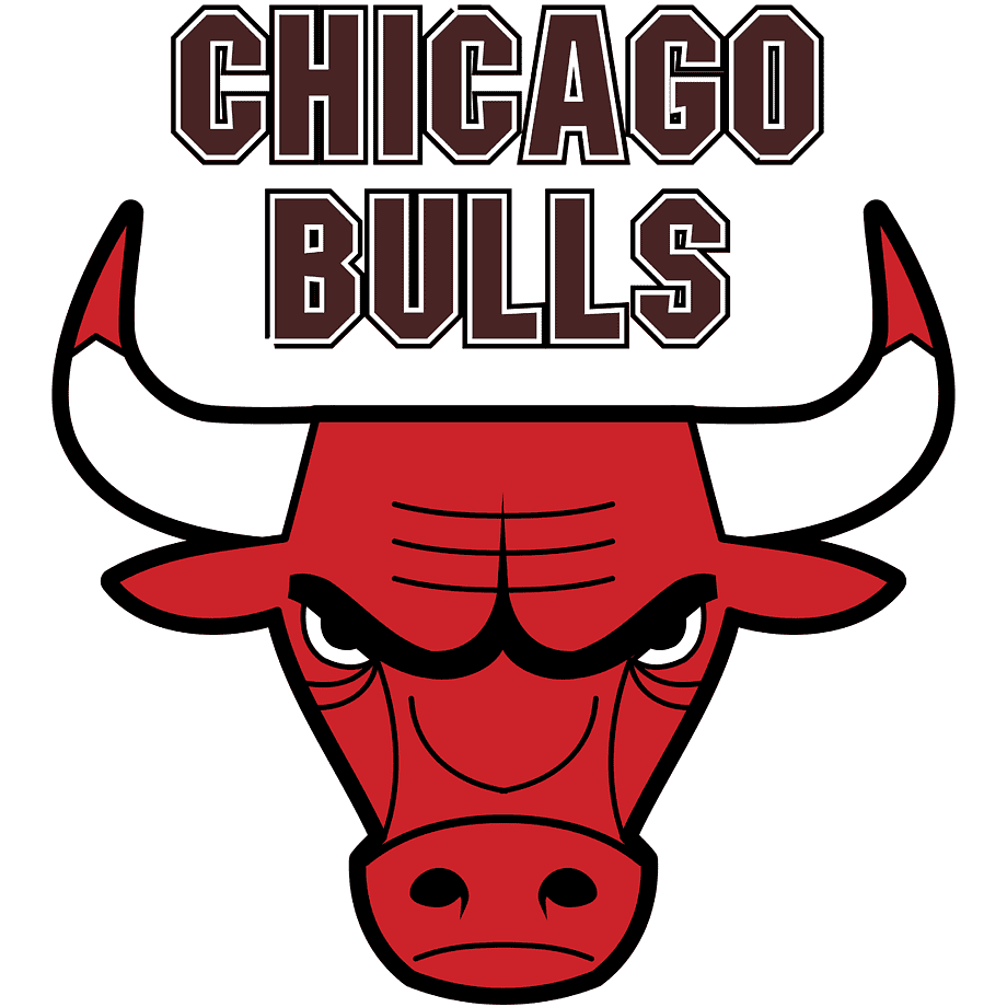 CHICAGO BULLS Logo