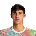 Alexei Popyrin Logo