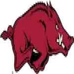 Arkansas Razorbacks Logo