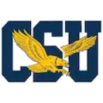 Coppin St Eagles Logo