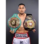 David Benavidez Game Odds