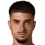 Dino Prizmic Logo
