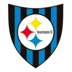 Huachipato Game Odds