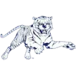 Jackson St Tigers Logo