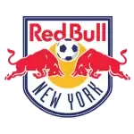 New York Red Bulls Logo
