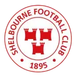 Shelbourne Dublin Game Odds