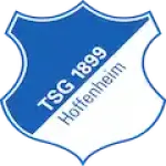 TSG Hoffenheim Logo
